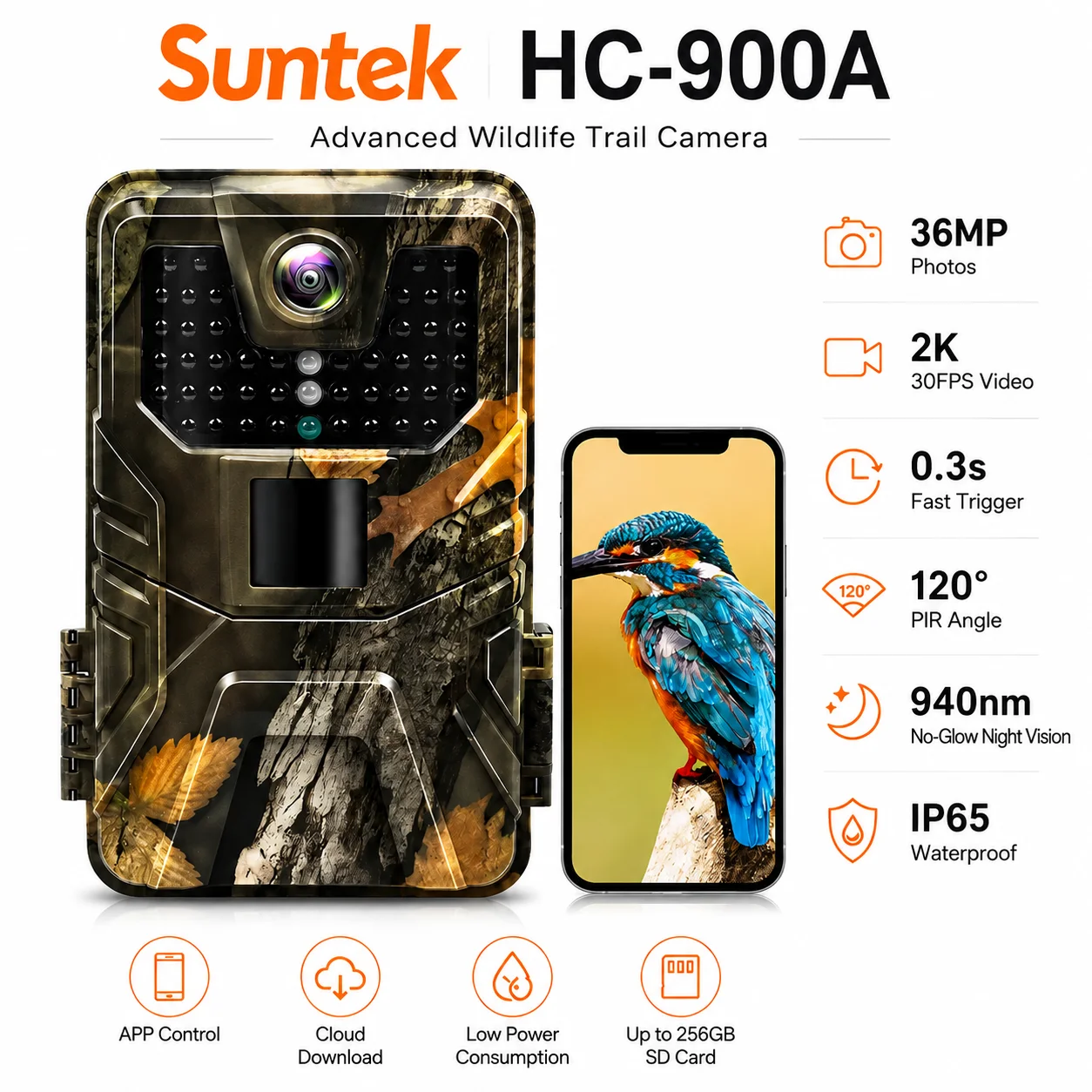 #37 Trending Trail Cameras Right Now