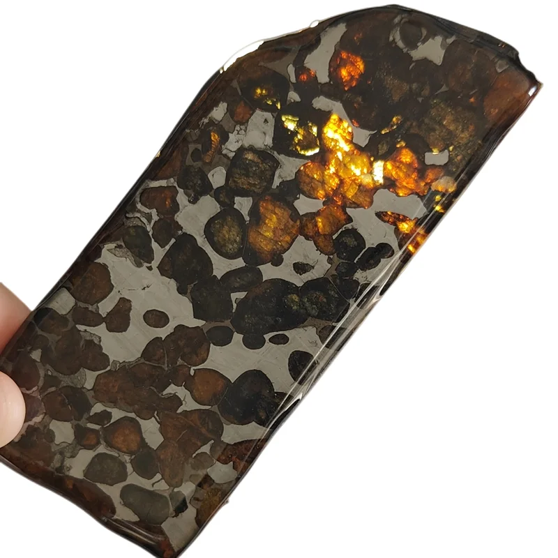 High quality Olive Meteorite Slices Natural Meteorite Material Specimen Olive Meteorite Ornaments