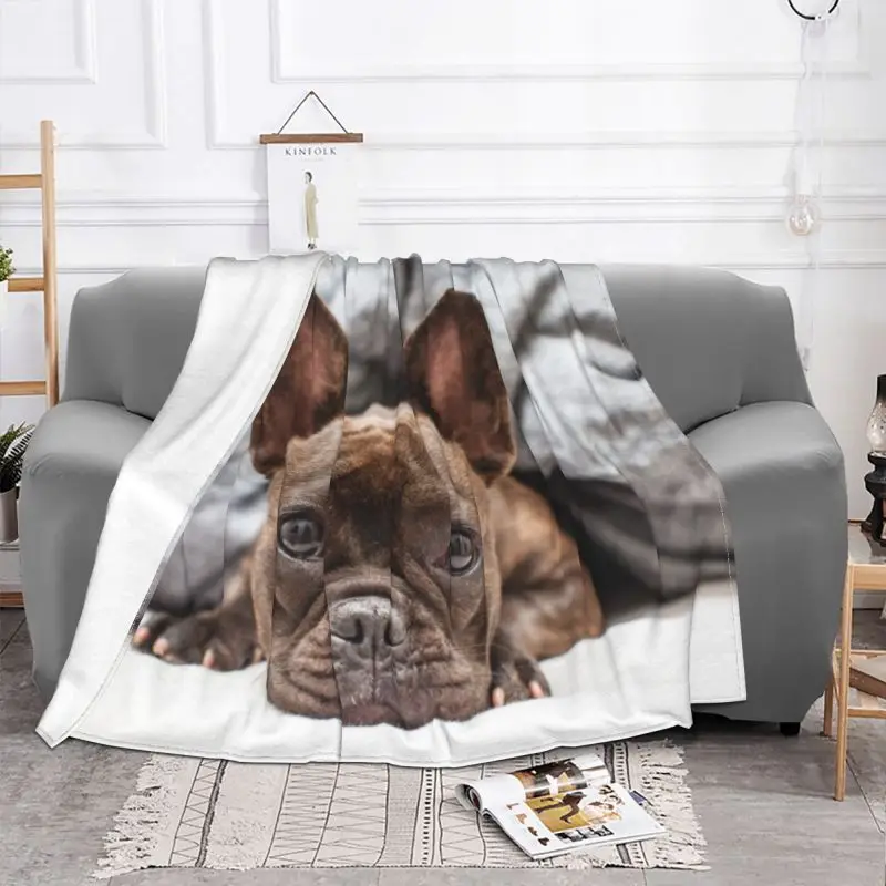 French Bulldog Blanket Warm Fleece Soft Flannel Frenchie Dog Lover Throw Blankets for Bed Couch Outdoor Spring Autumn