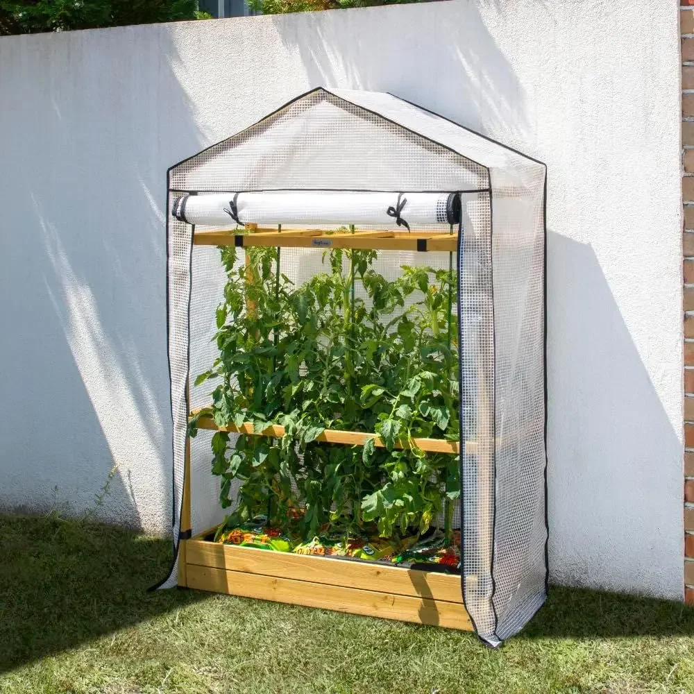 Tomato Cultivation Greenhouse with PE Film Cover - Eco-Friendly