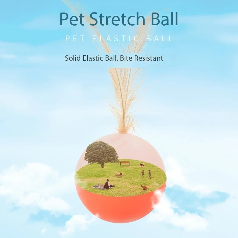 Pet Stretch Ball With Feather Cat Toy Interactive Kitten Cat Teaser Ball High Rebound Cat Nibble Toy Ball Pet Supplies