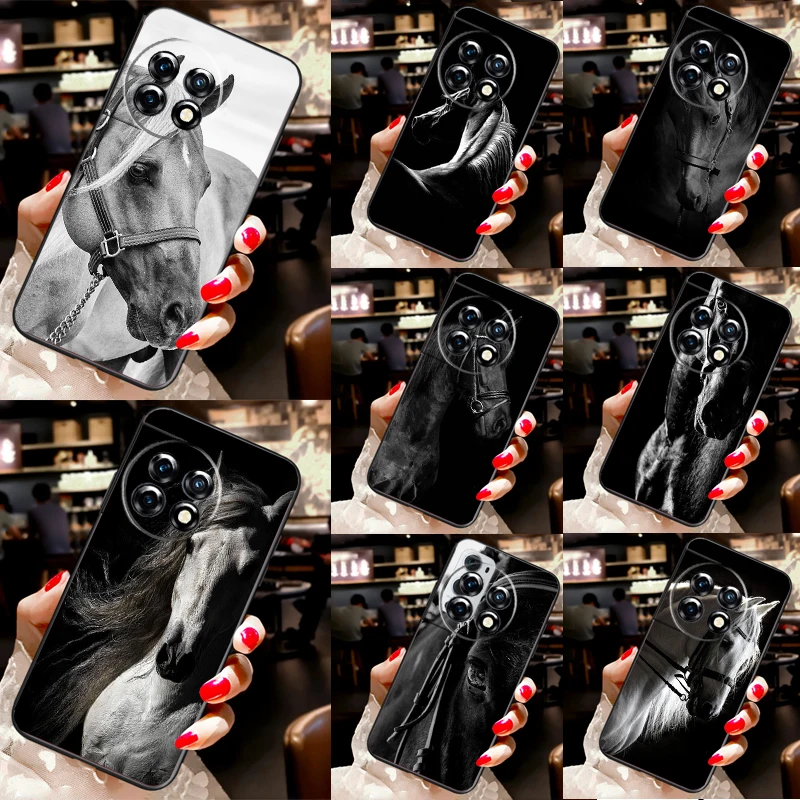 Black White Horse C… - image