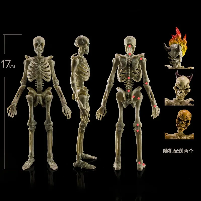 

Предзаказ: Фигурки-модели 1/12 масштаба, 17 см, супергибкий скелет человека с 22 подвижными суставами, аксессуары для моделей.