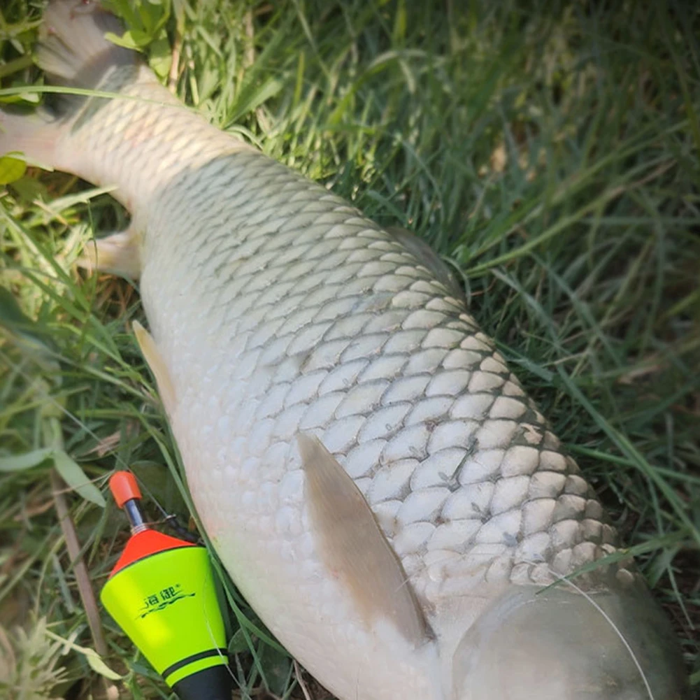 عوامة صيد أوتوماتيكية محمولة من الفولاذ المقاوم للصدأ ملحقات صيد السمك السريعة #1