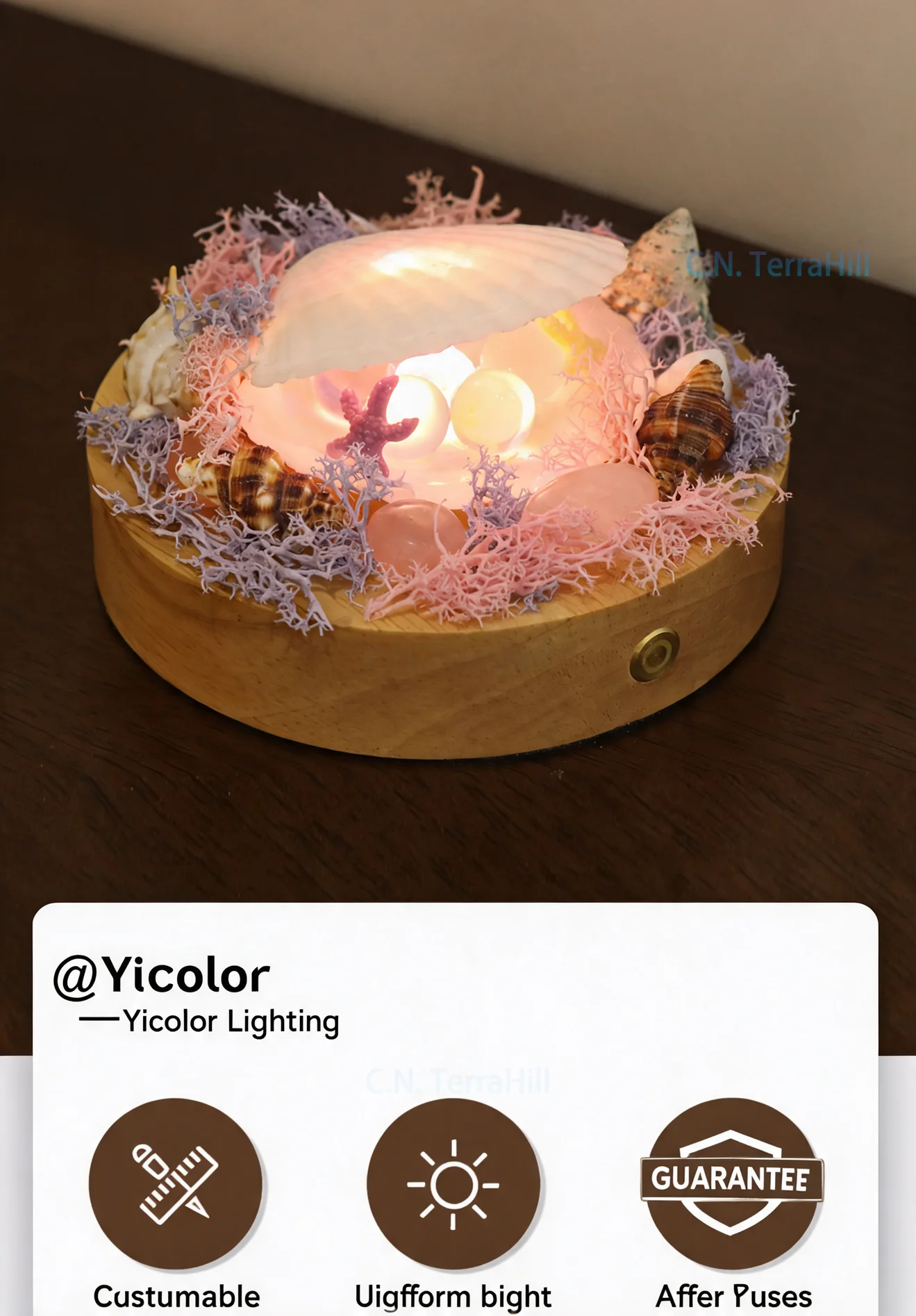 Bionic Seashell Pearl Night Light Creative Bedside Lamp for Bedroom Home Decor Birthday Gift