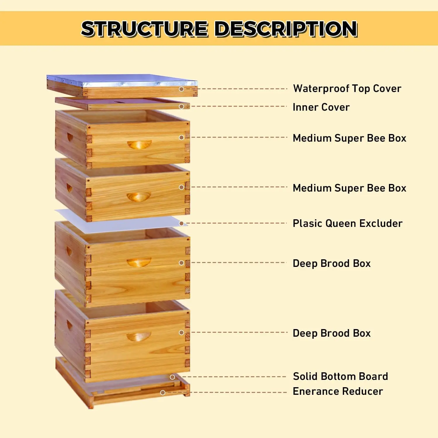 10 Frame Bee Hive Beehive Kit Includes 2 Deep Brood Bee Boxes 2 Medium Beehive Boxes Assembly Screws No Frames No Foundations
