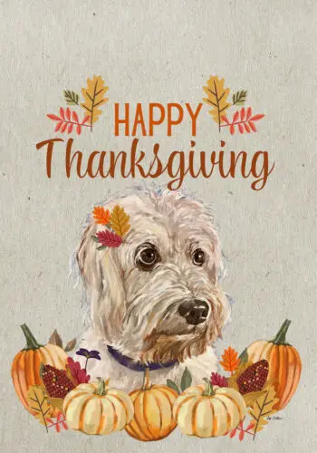 Cockapoo Hippie Hound Studios Happy Thanksgiving Flag