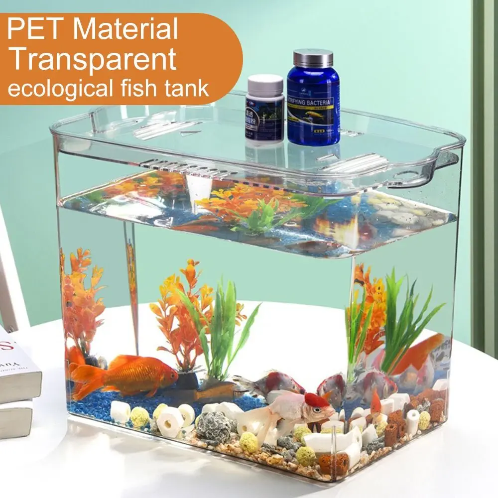 Caja de cría de peces de plástico cuadrada, pecera transparente de alta calidad con tapa, pecera dorada