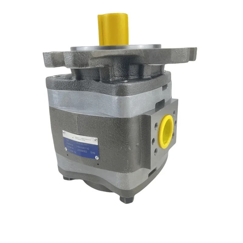 

2026 Original IPV IPVP IPVAP IPC IPN IPM IPNL Series IPN 5-64 141 IPN 6/5-125/100-101 IPN5-64 141 High-pressure Hydraulic Gear P