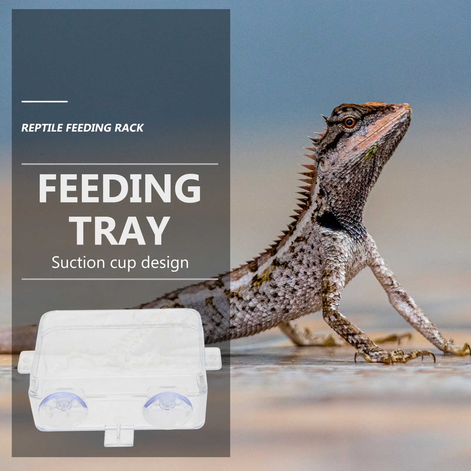 

2Pcs Suction Cup Reptile Feeders Longlasting Material Versatile Use As Food Water Dish Easy to Clean Pet Accessories Reptile