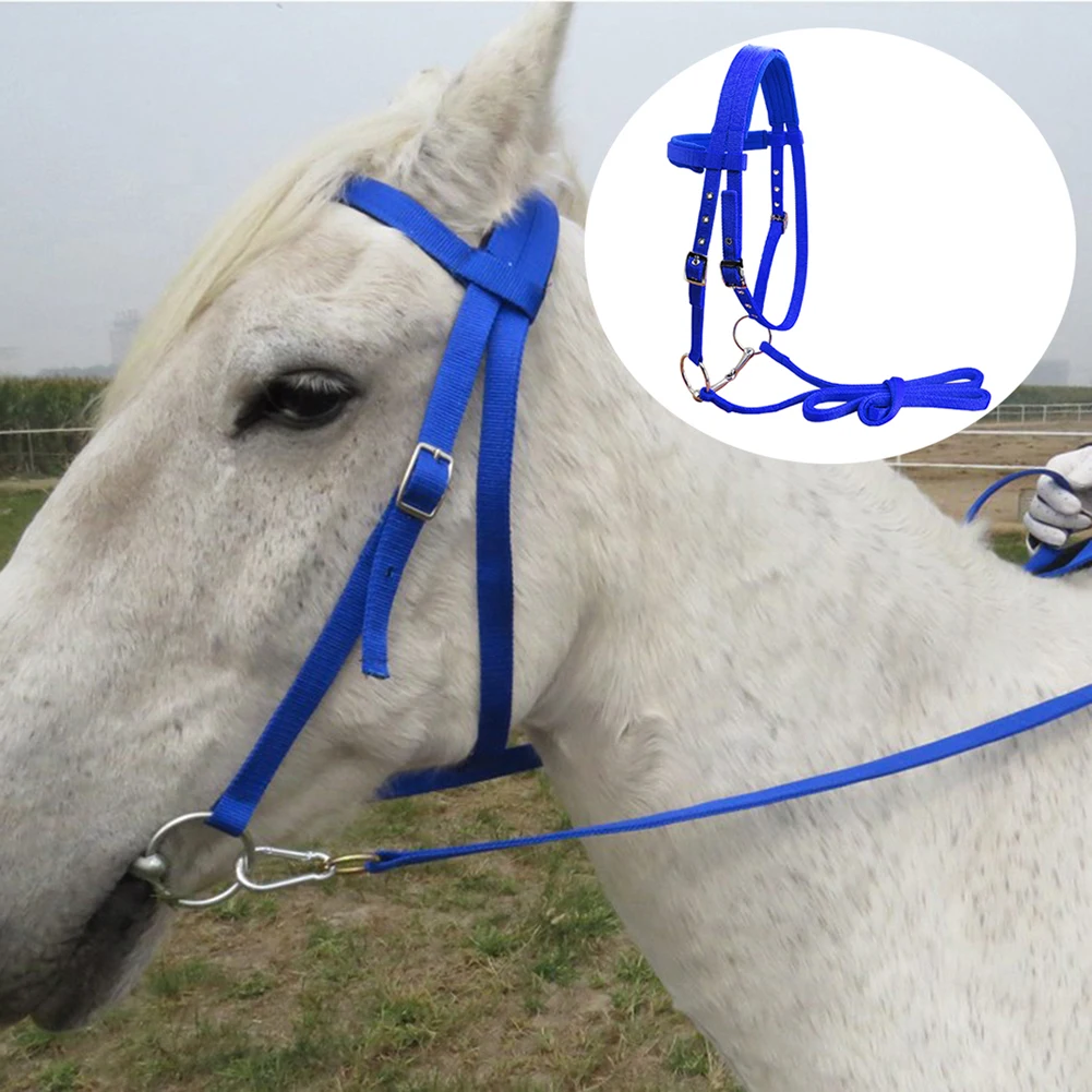 Durable Horse Bridle Horse Rein Headstall 20 Mm PP Webbing Thickened Halter Equestrian Gear For Outdoor Riding Training LT5000