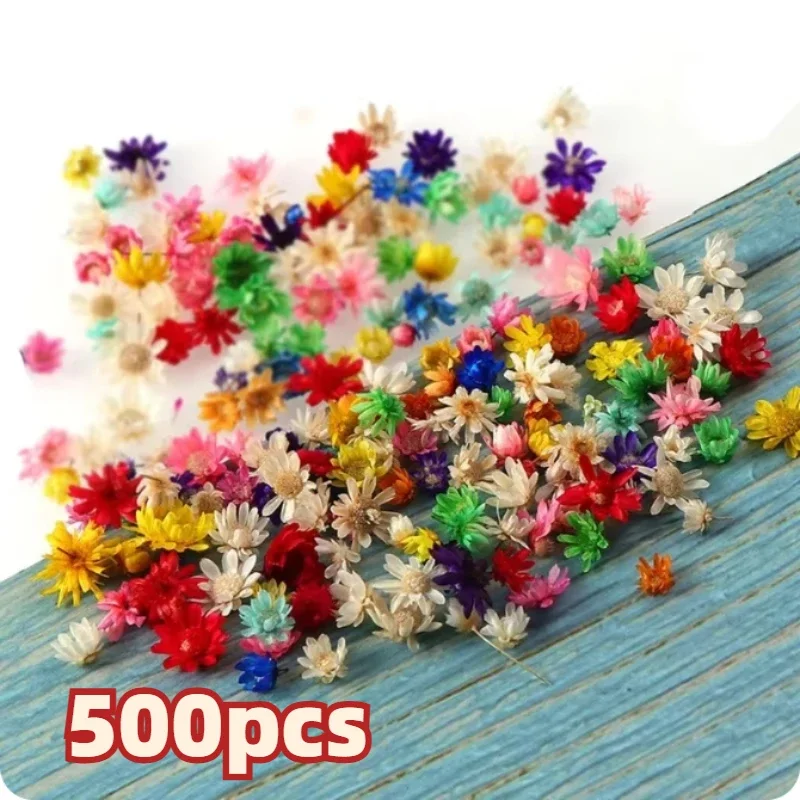 Gedroogde bloemen voor epoxyhars DIY Art Craft kaars sieraden maken glazen deksel bal vulmiddel droge bloemen accessoires