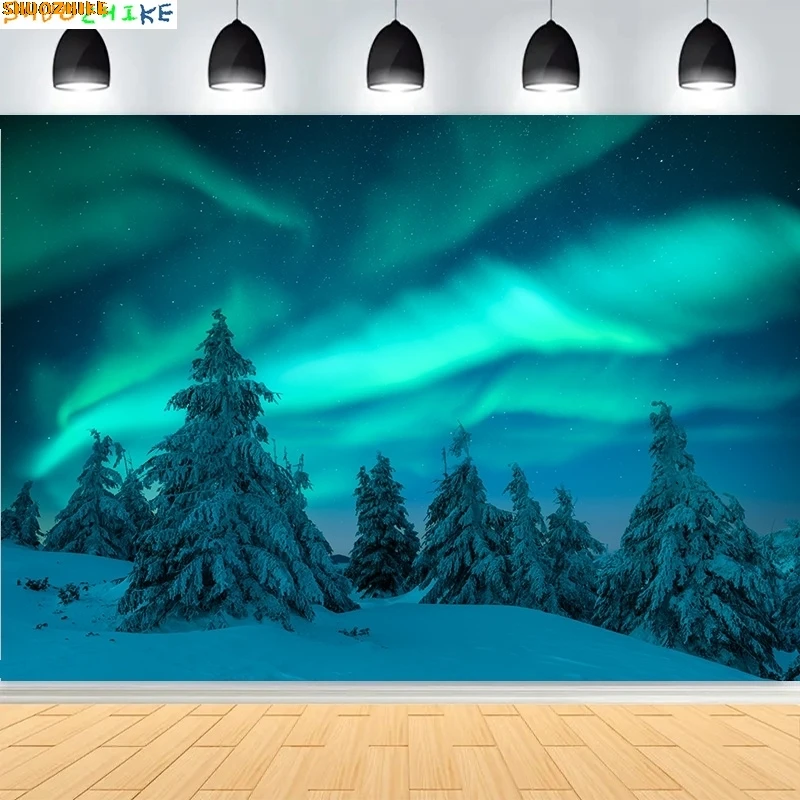 

Aurora Borealis Winter Landscape Photography Backdrops Night Sky Winterland Snowy Nature Scene Starry Sky Photo Background JG-05
