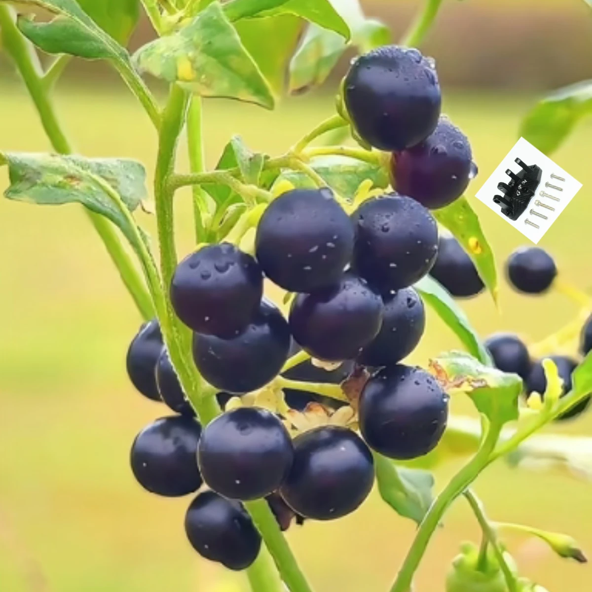 1/6 Baja Rey 1.0/2.0 LOS05021 오프로드 레이싱 트럭과 호환되는 상부 기어박스 리어 서스펜션 링크용 GPM 알루미늄 마운트