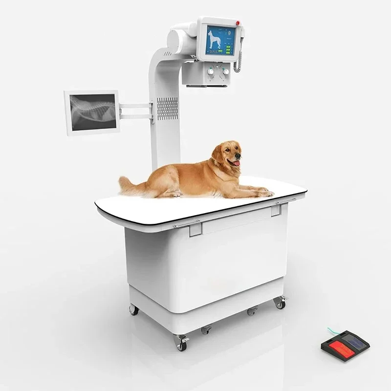 High Frequency Analog Mobile X-ray Machines Veterinary in Clinic Veterinary X Ray Machine