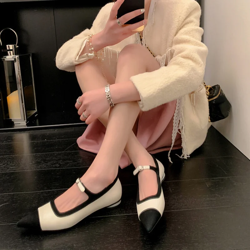 Color-matching Mary Jane Shoe Lady Shallow Mouth Single Shoes Pointed Toe Buckle Strap Low Cut Flats Luxury Cowhide Zapatos