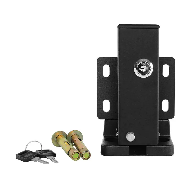 12V 24V Gate Opener Outdoor Electric Security Swing Gate Electric Lock