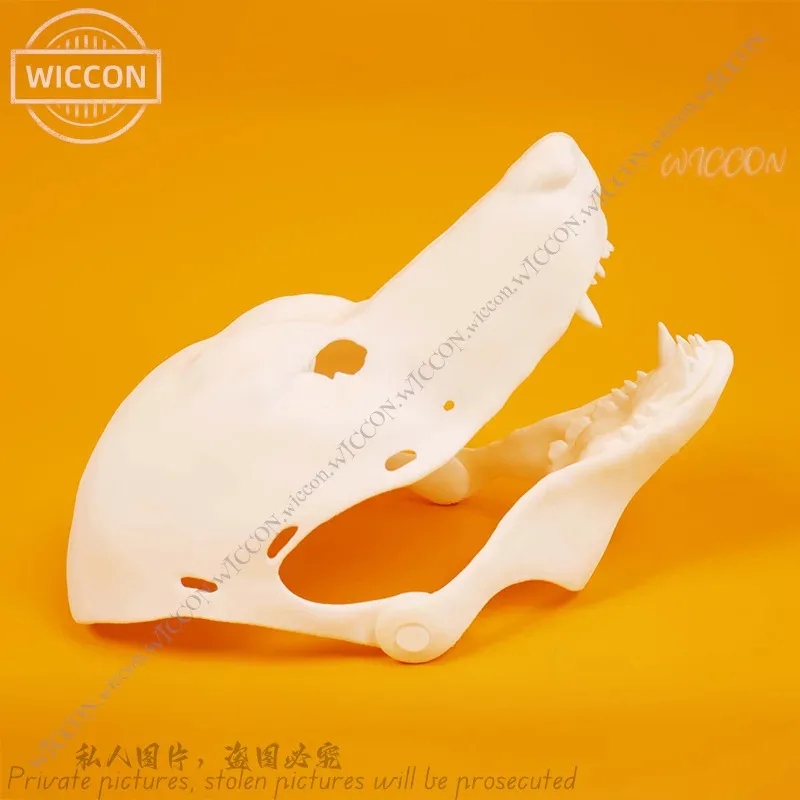 الجمجمة Canidae الجمجمة مفتوحة الفم فروي DIY قسم واقعي تأثيري هالوين زي الجمجمة الدعامة هالوين حفلة امرأة رجل #3