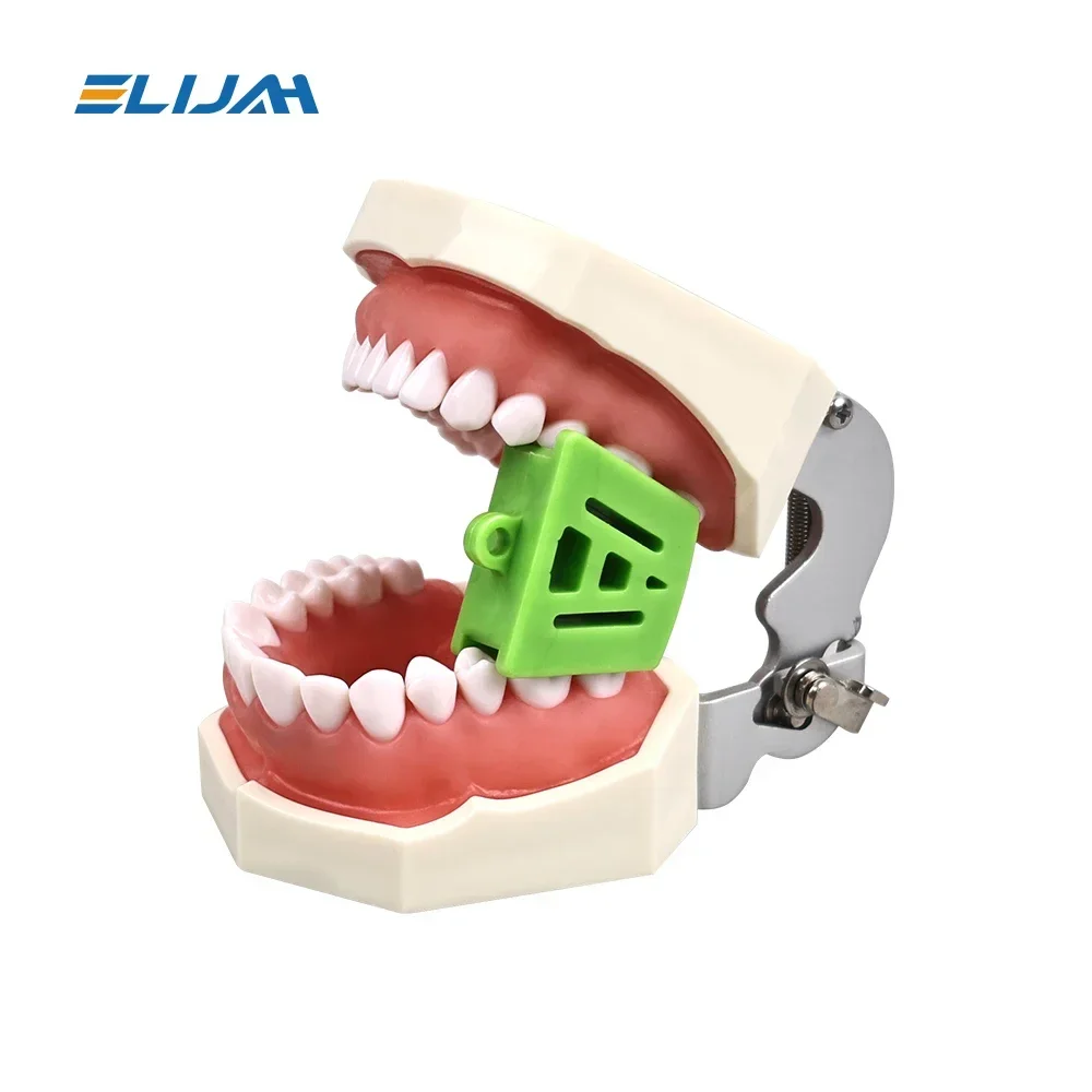 ELIJAH 3Pcs Dental Rubber Occlusal Pad Bite Opener Blocks Mouth Prop Large Medium Small Orthodontic Supplies Dental Tools