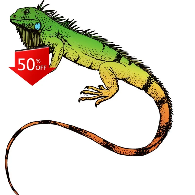 

Iguana Sticker Colorful Change Green Lizard Gecko Pet Reptile Camouflage Car Sticker Car Window Wall