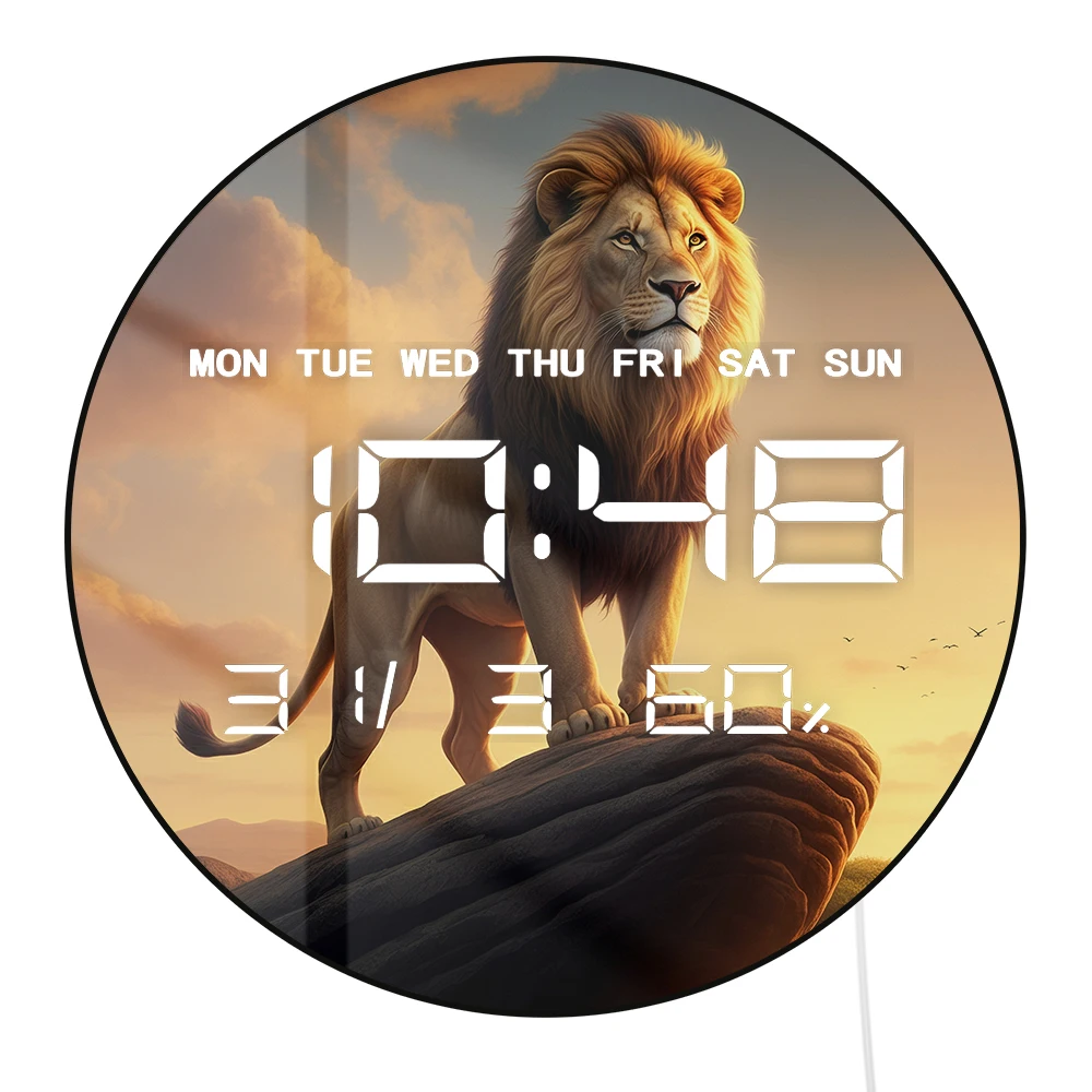 Lion On Pride Rock …