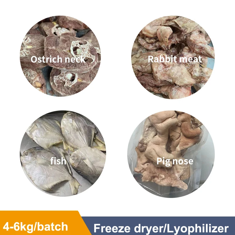 Mini Freeze Dryer Fruit Lyophilizer Price Laboratory Home Freeze Dryer Lyophilizer Machine