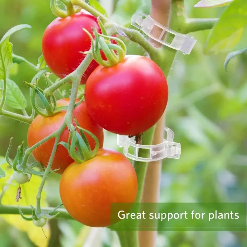 50-500PCS Plant Support Clips Reusable Plastic Connects Vine Fixing Clip Tomato Grape Vegetable Plants Holder Buckle Garden Tool
