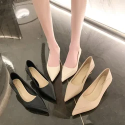 Female Pumps Nude Shallow Mouth Women Shoes Fashion Office Work Wedding Party Shoes Ladies Low Heel Shoes Woman Spring and Fall