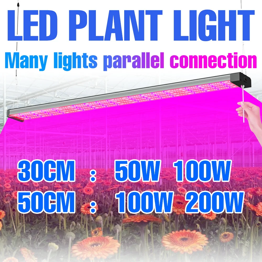 

200W LED Plant Grow Light Full Spectrum Quantum Board Indoor Hydroponic Fill Lamp Greenhouse Vegs Seedings Cultivation Lighting
