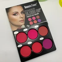 Palette de fards à joues 6 couleurs, grande taille, maquillage de contour naturel, palette de fards à joues mats, couvrance longue durée 4