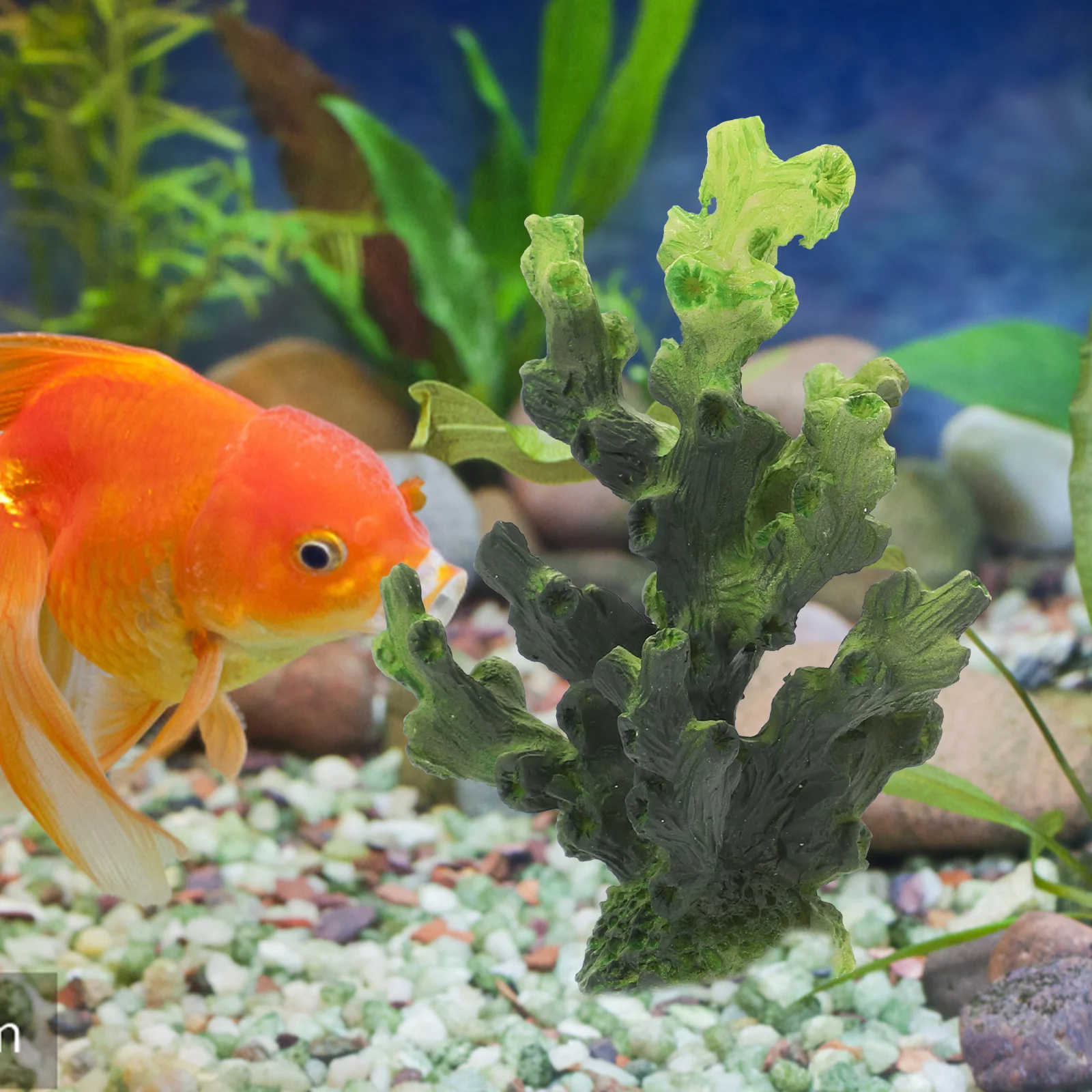 

2Pcs Delicate Coral Ornament Stylish Aquarium Accessory Home Decor Festival Gift Floating Aquarium Plants Coral Figurine