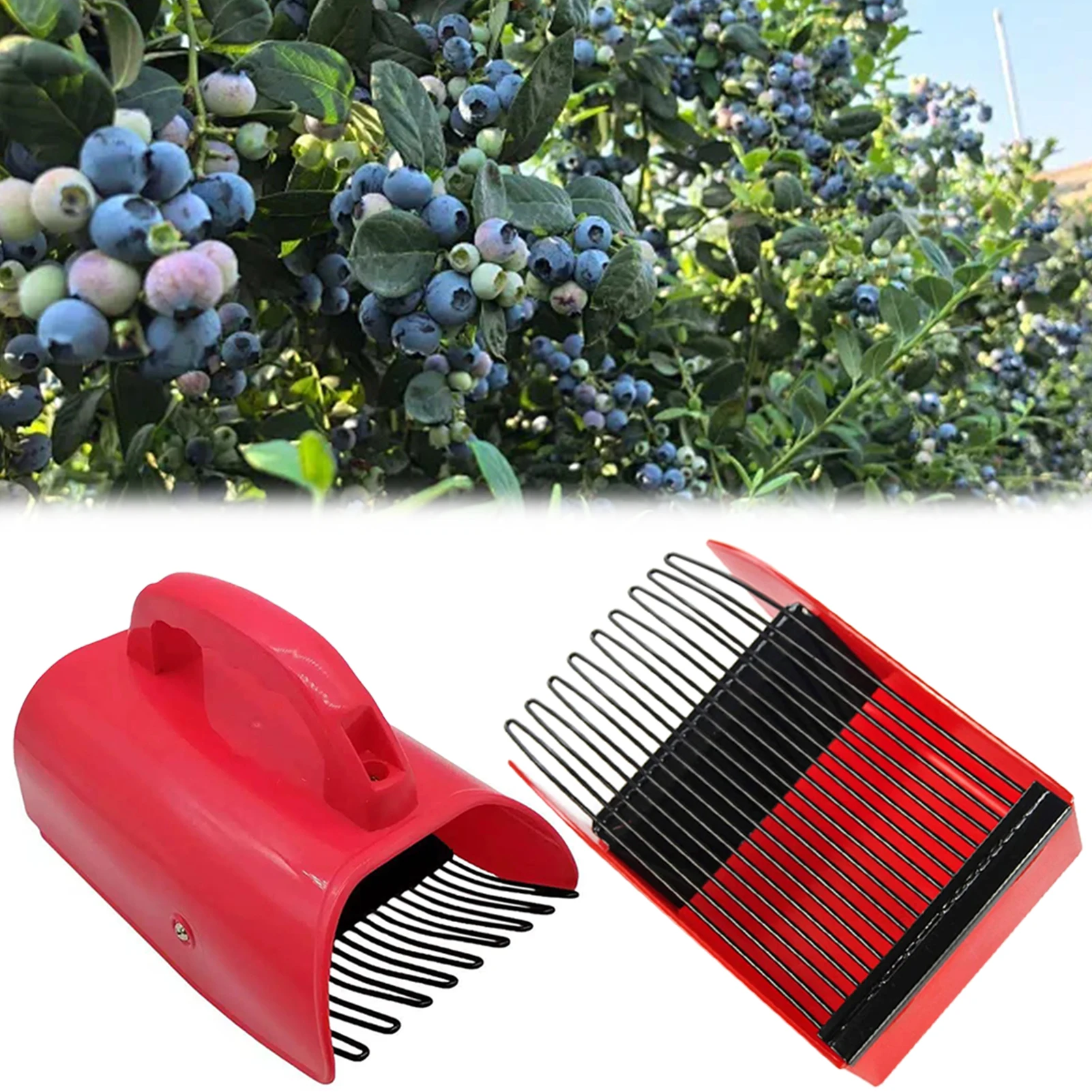 Berry Picker Comb Rake,Plastic Blueberry Picker Scoop Fruit Picker Tool,Blueberry Rake Scoop,Handheld Berry Harvester Tool
