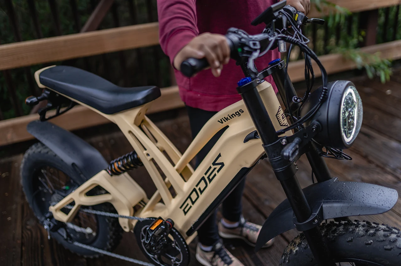 1000 Вт горный электрический велосипед для взрослых 48V20AH электрический велосипед в мотоцикле 20-дюймовый электрический велосипед с двойным масляным диском внедорожный электрический велосипед