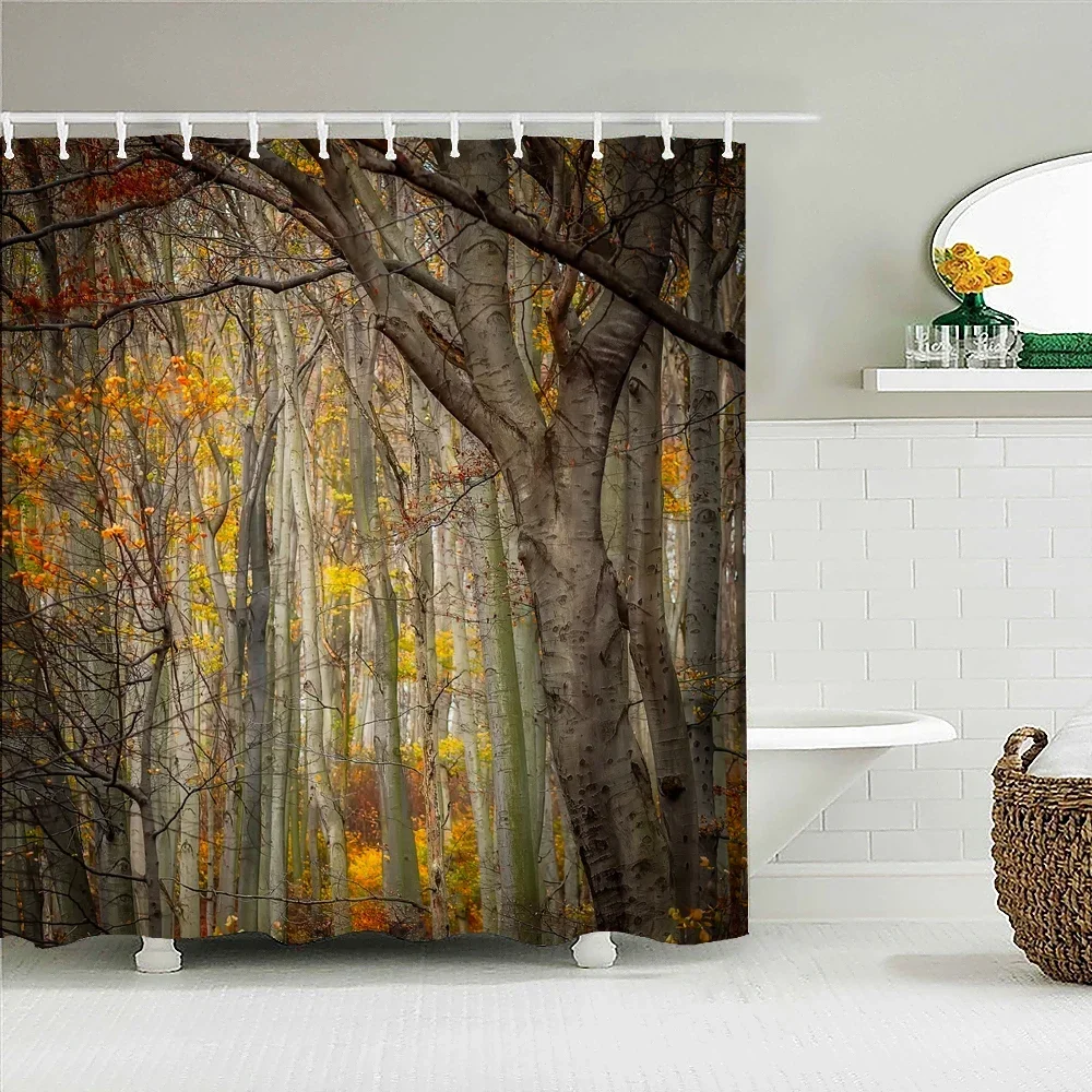 High Quality Birch Forest Fabric Shower Curtain Waterproof Natural Landscape Printed Bath Curtains for Bathroom Decor with Hooks