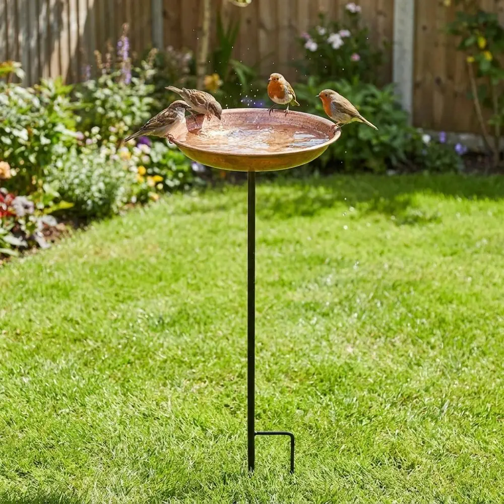 Thumbnail 4 - #68 Best Rated Bird Baths to Buy in 2026