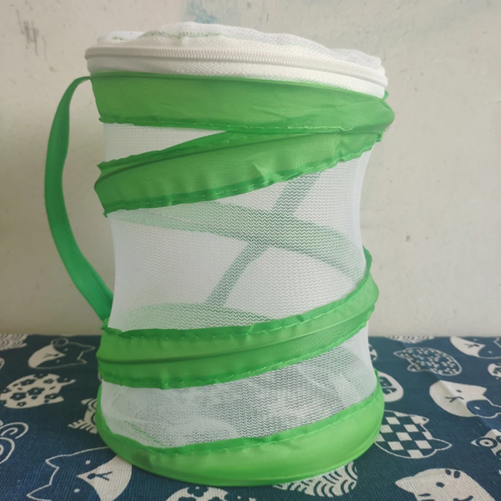 2 insetti e insetti con gabbia a farfalla per bambini che esplorano esplorano l'osservazione colorata per bambini piccoli