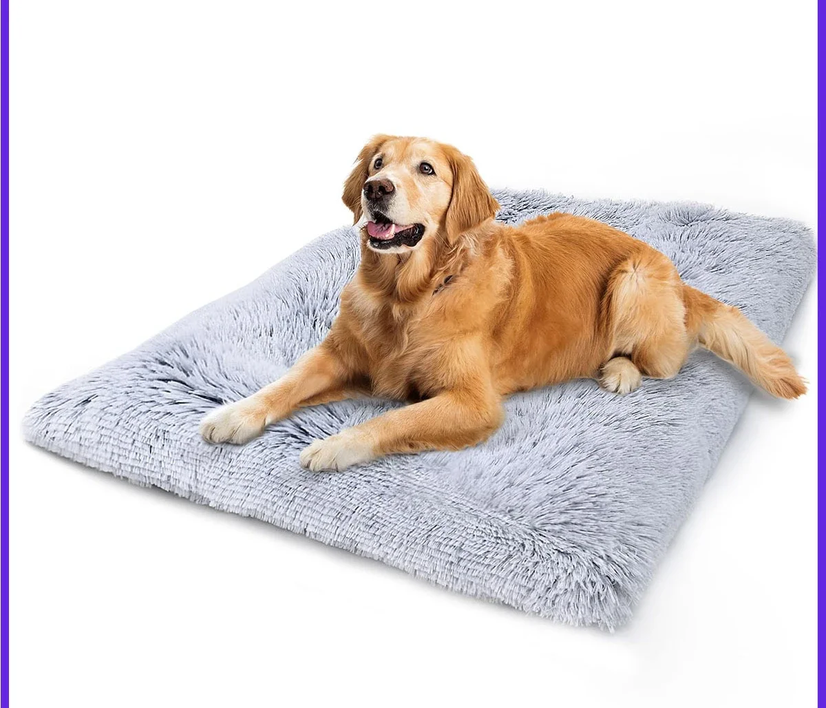 Autumn and winter thin pet cushion anti-bite plush dog sleeping mat machine washable dog bed