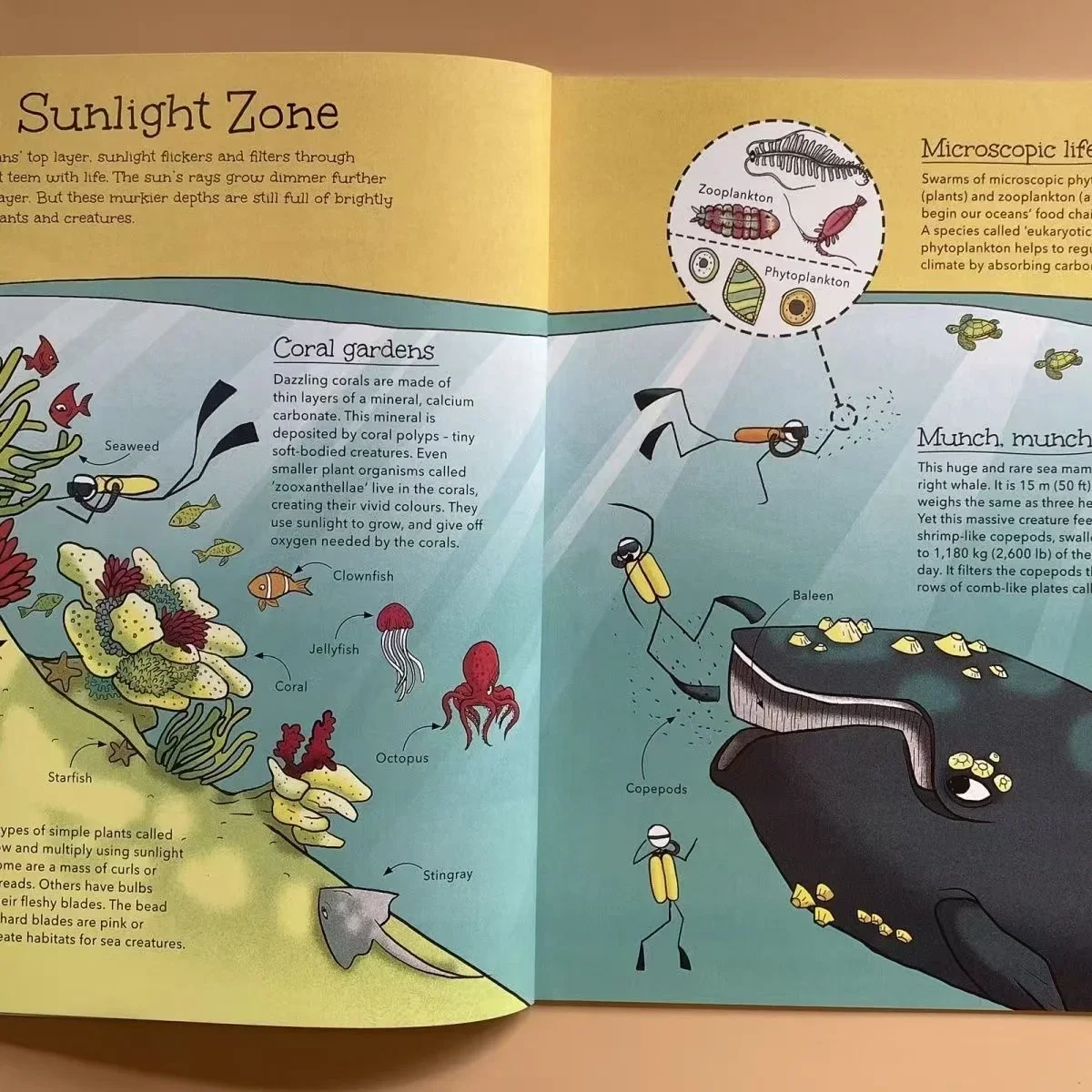 20 Books Amazing Science Experiment STEM Stickmen Experimental Popularization Encyclopedia English Picture Book Education