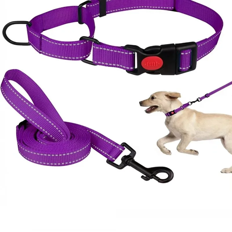 Dog Pet Set Collar Night Reflection  Walking Trainning Leash Breathable Adjustable Collar Safety Nylon Traction Rope