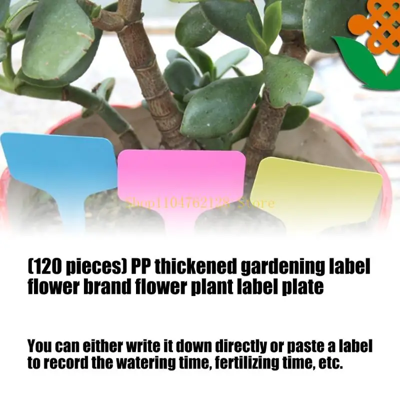 120Pcs Multipurpose Gardening Labels Replacement For Seedling Potted best sale