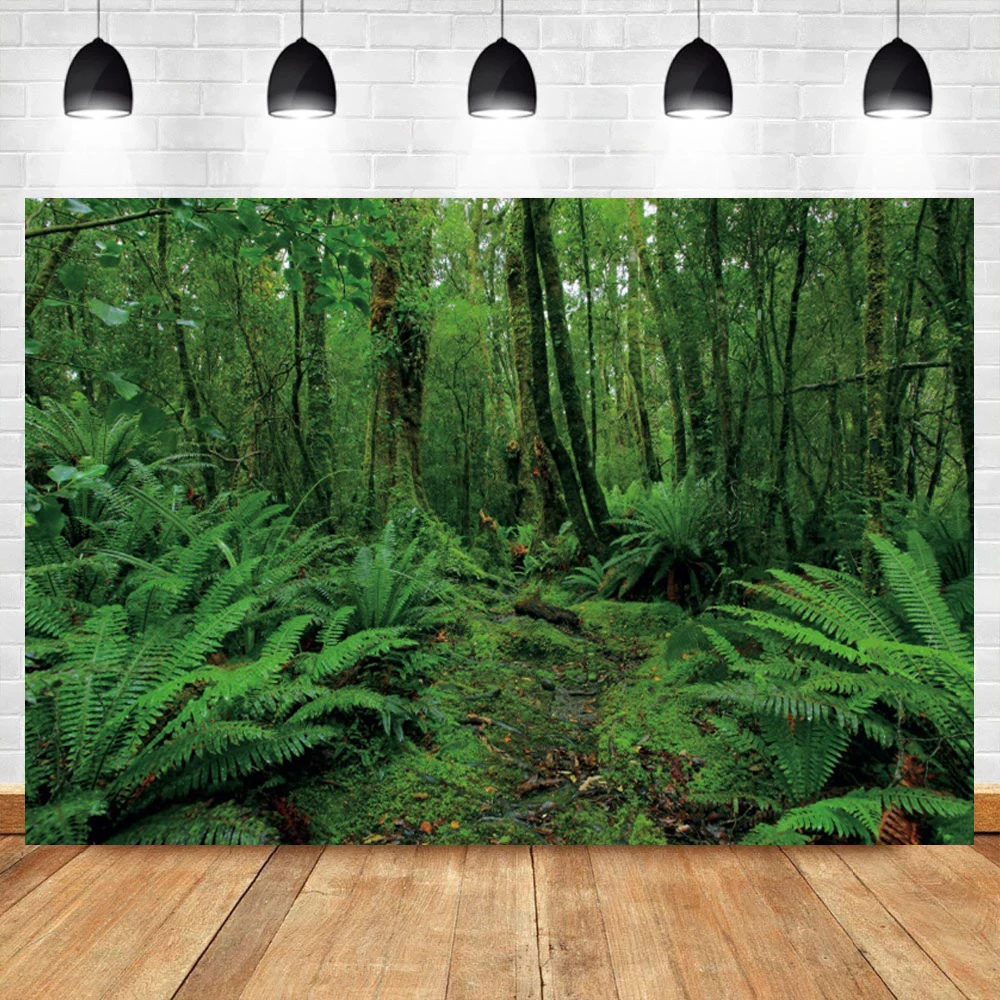 Laeacco الأخضر الغابة الغابات المطيرة الغابات الاستوائية شجرة شجيرة المشهد الطبيعي التصوير خلفية خلفية صور دعوة استوديو الصور
