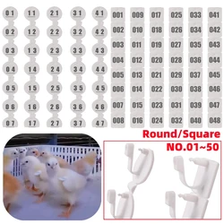 NO.01~50 Round/Square Farm Poultry Wings Number Identification Plates Chick Duck Pigeon Quail White Label Buckles 1 Pack/50Pcs