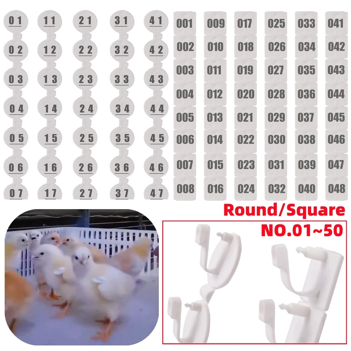 NO.01~50 Round/Square Farm Poultry Wings Number Identification Plates Chick Duck Pigeon Quail White Label Buckles 1 Pack/50Pcs