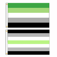90x150cm LGBTQIA Romantic Orientation Aromantic And Agender Pride Flags  For Decoration