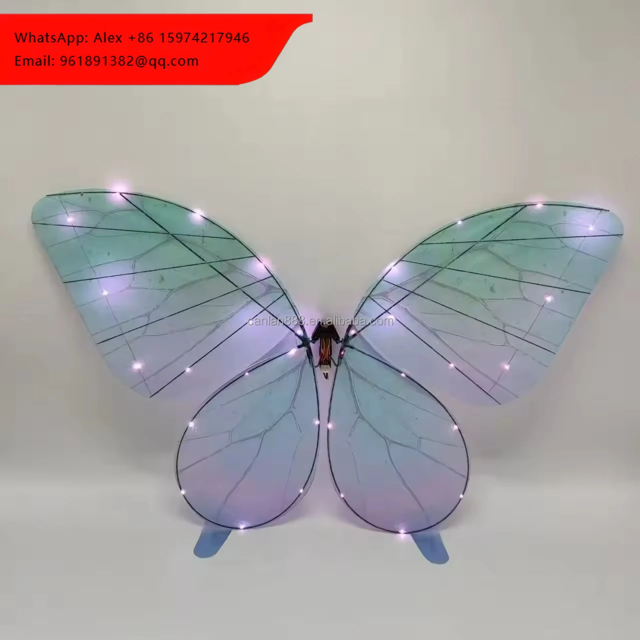 

Professional Butterfly Show, Sturdy And Durable, And Reusable. Suitable For Wedding Ceremonies And Party Events.
