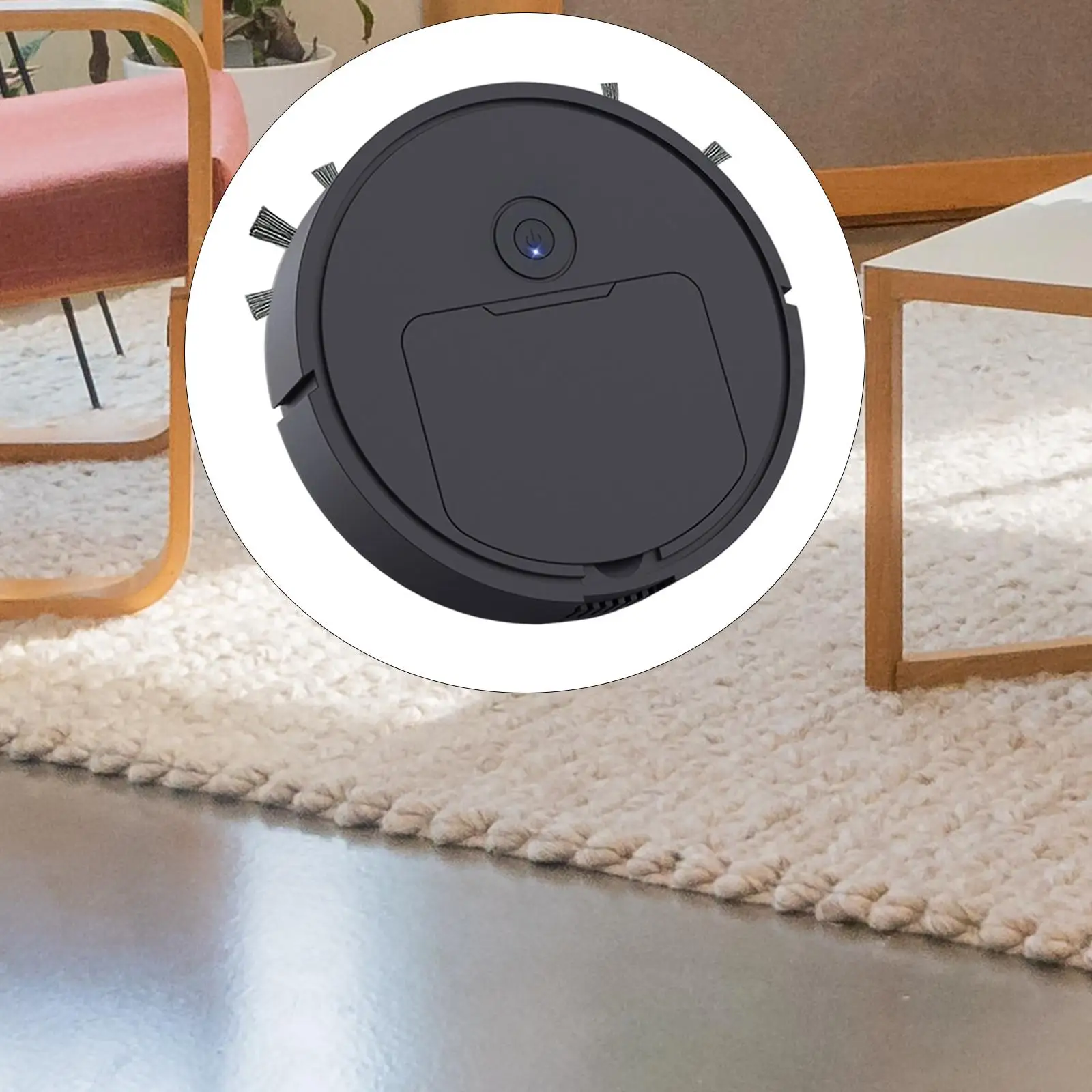 Robot Vacuum and Mop Cleaner Applicable Environment for Pet Hair Hard Floors