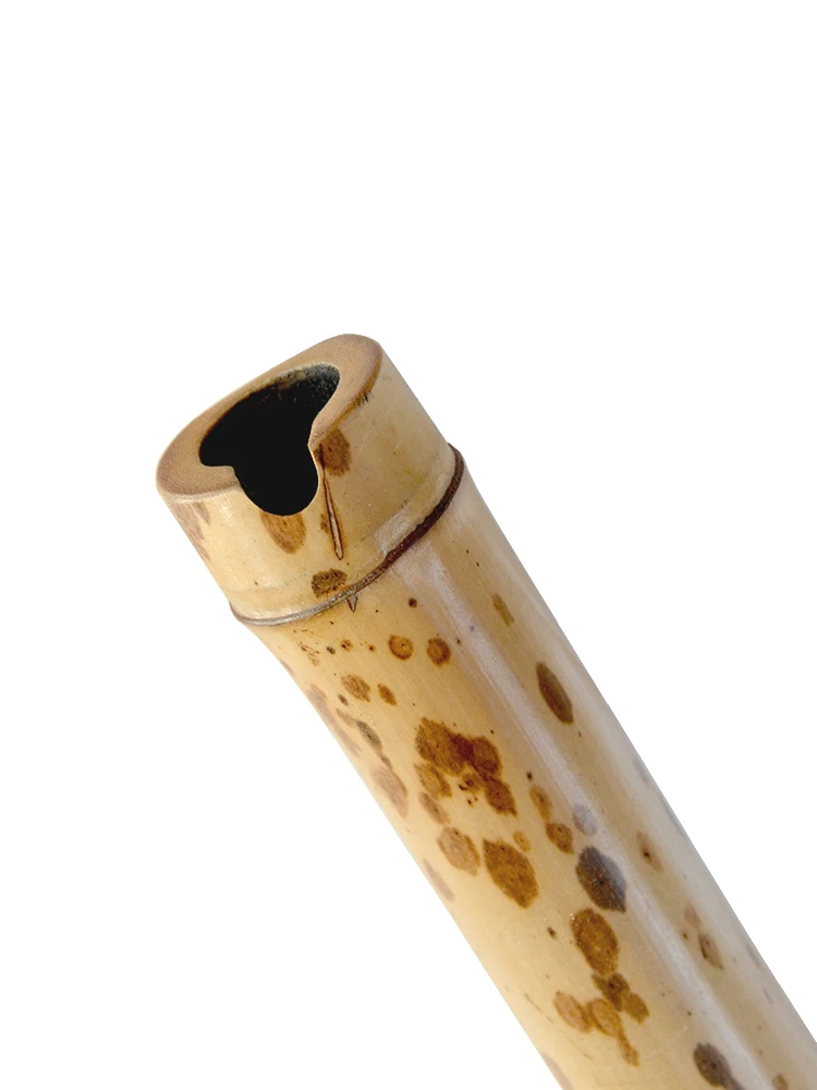 YPXD Dong Xiao Flute Vertical Bamboo Flute Teardrop Bamboo 8 Holes Chinese Musical Instrument for Musicians G F D E key