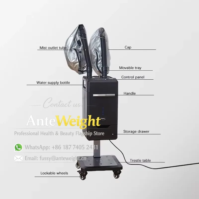 Professional Nano Mist Hair Steamer 2 Person Double Steam Pipe Beauty Salon Barbershop Hair Scalp Ozone Care Machine with Cap