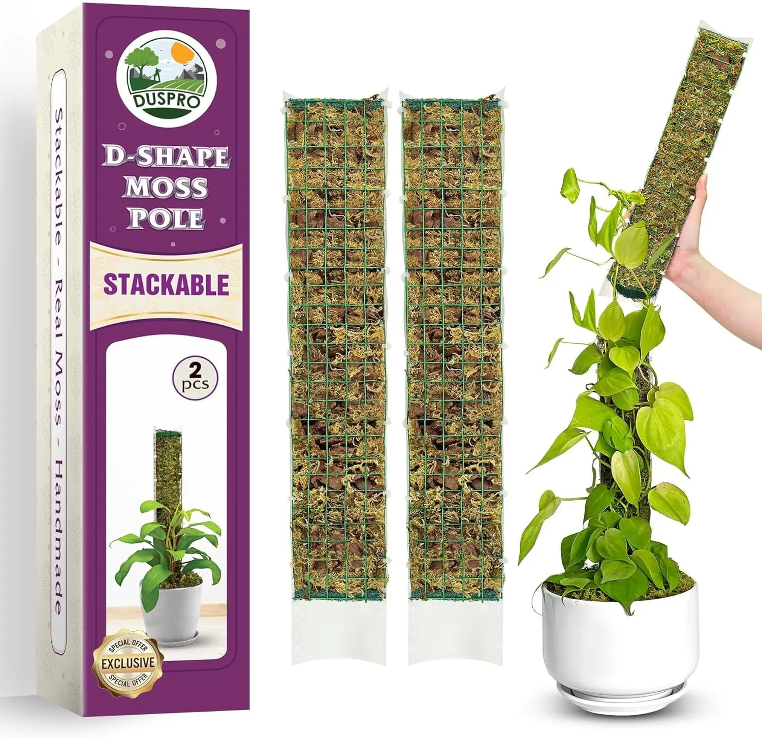 

D-Shaped Plastic Moss Poles for Climbing Plants, Stackable Indoor Plant Support with Moisture Retention, 2 Pack 16.5 inches