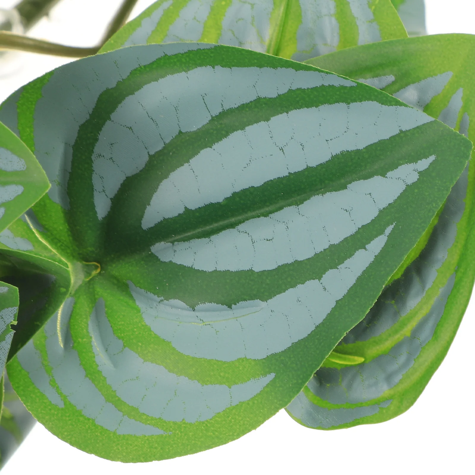 

Reptile Terrarium Plant Lifelike Aquarium Landscaping Ornament Durable Premium Material Reptile Box Fish Tank Decor